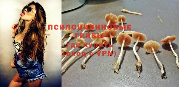 эйфоретик Алексин