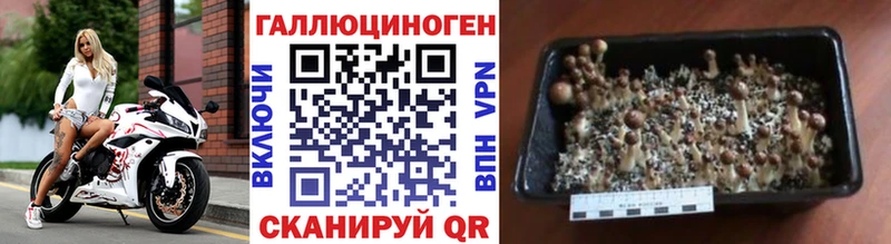 Псилоцибиновые грибы ЛСД Бакал
